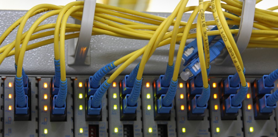 Suspendisse arcu nisl